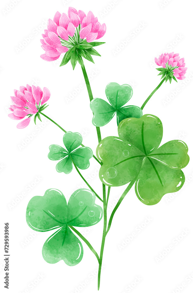 Handdrawn watercolor illustration clipart of Clover Bouquets with Flowers St'Patricks Day birthday Floral arrangements greeting cards wedding invitation Party Irish Handdrawn watercolor illustration clipart of Clover Bouquets with Flowers St'Patricks Day birthday Floral arrangements greeting cards wedding invitation Party Irish