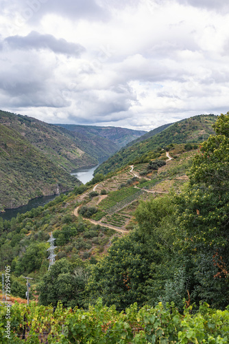 Landscape of Galicia, a region in Spain and navigable Sil river