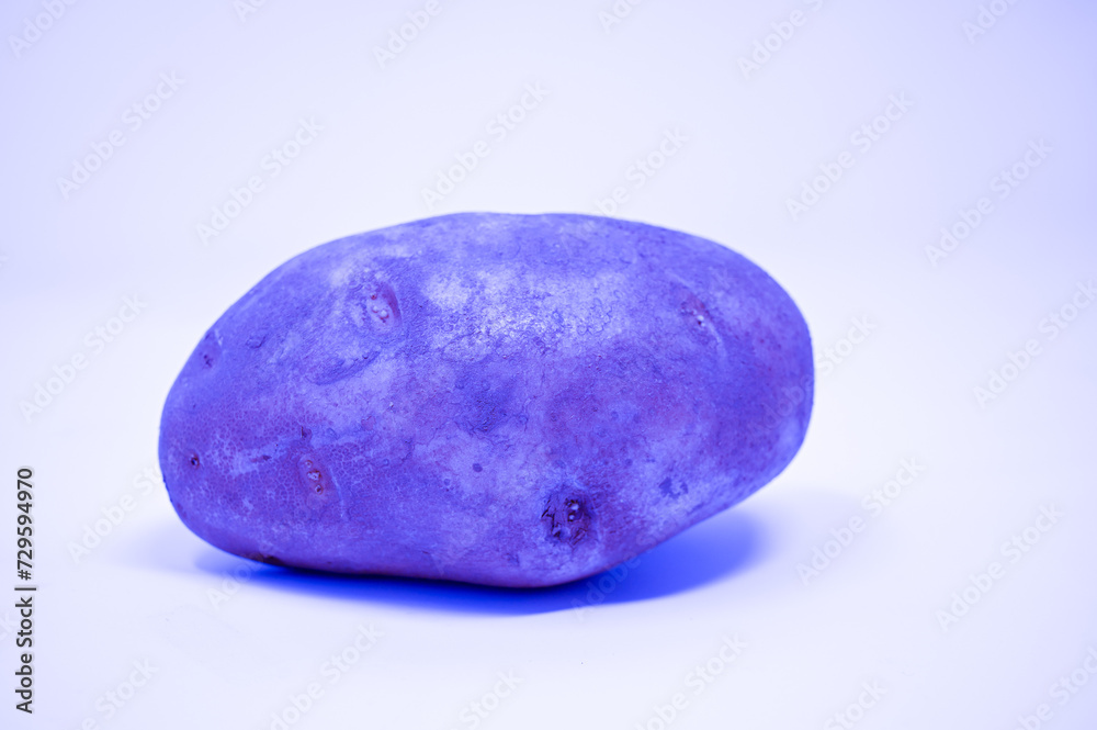 An abstract impression of the mighty potato seen in shades of blue An abstract impression of the mighty potato seen in shades of blue