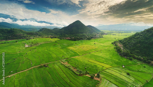 agriculture farming background with green rice fields and mountain landscape plantation valley, aerial top view of beautiful agricultural pattern field