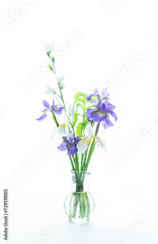 Siberian Iris Bouquet with white high key background