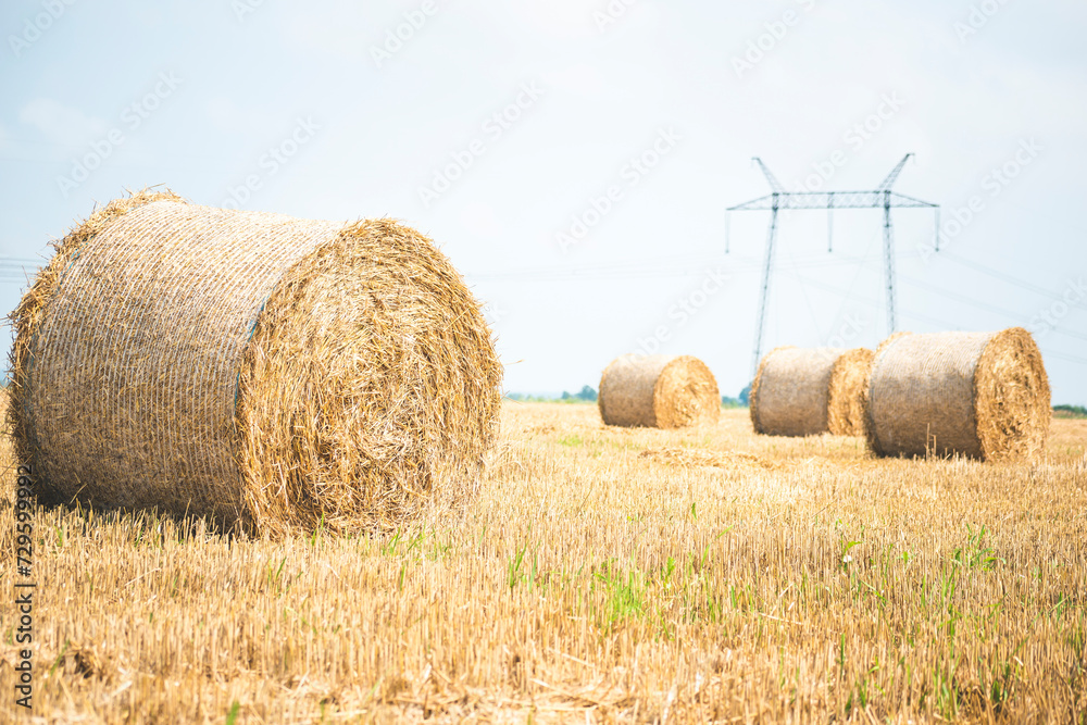 Fototapeta premium hay bales on the field