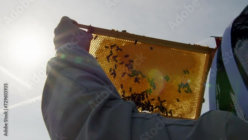 Honey beekeeper holding up beehive frame glistening in sunlight honey wax bees