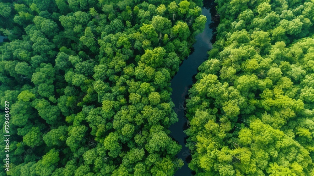 An aerial view of a winding river through a lush green forest