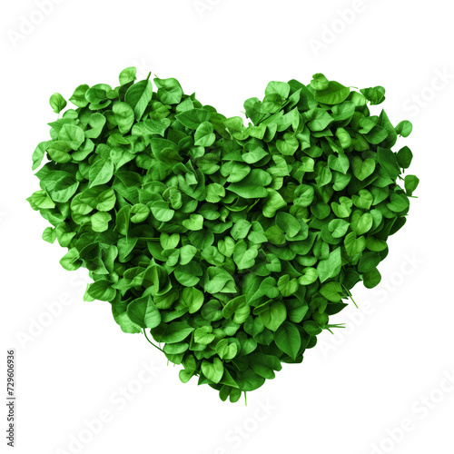 heart shape made of green leaf, isolated love symbol 