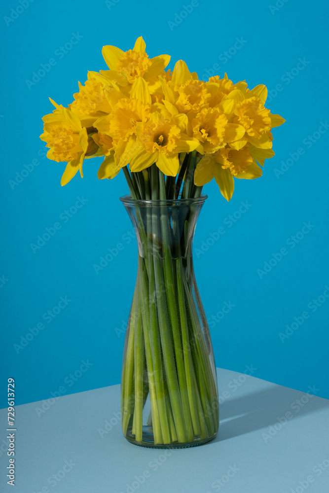 Spring Daffodils in a Vase on Blue