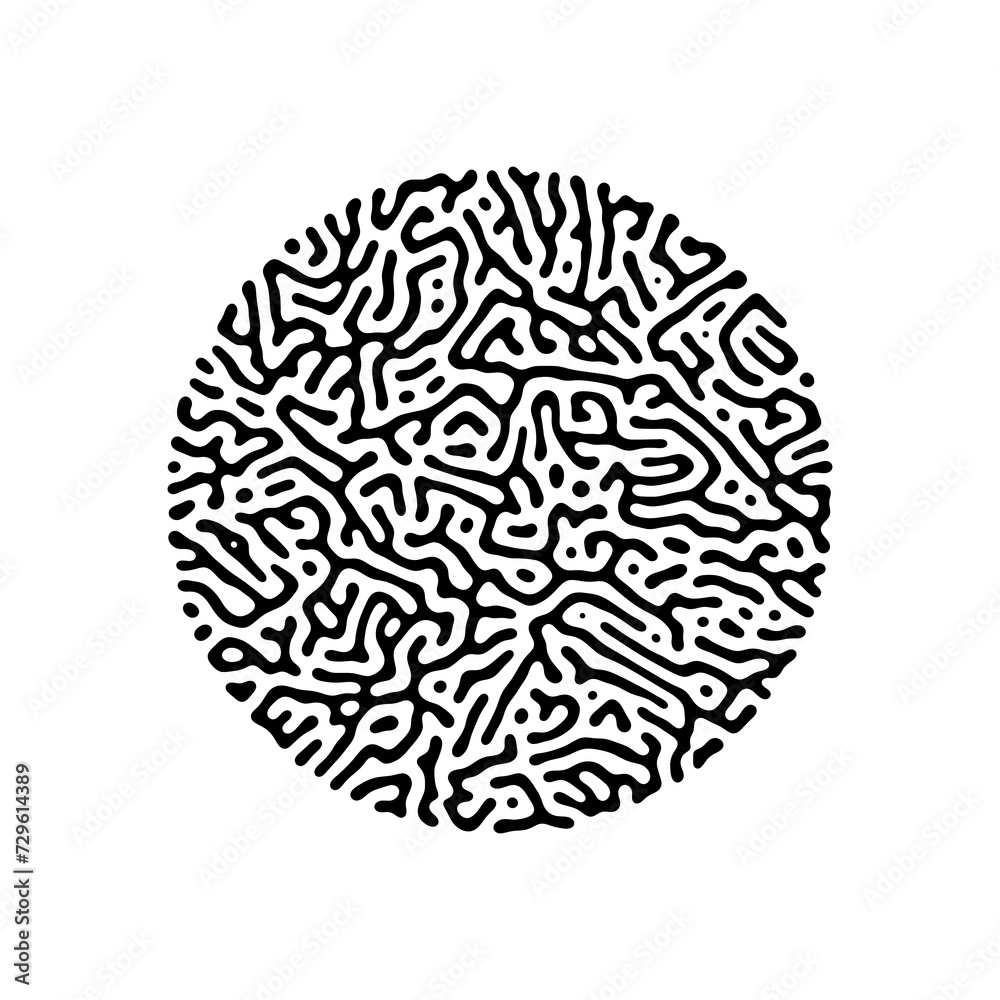vector elements vector elements