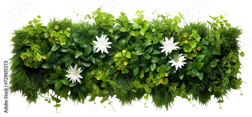 Green garden wall from tropical plants and flowers, cut out photo