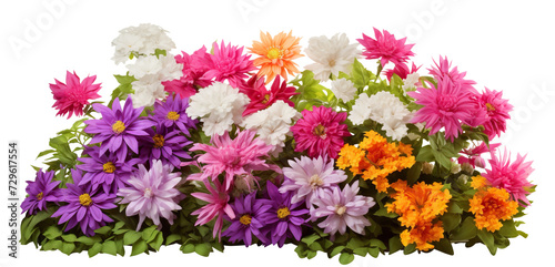 Fototapeta Naklejka Na Ścianę i Meble -  Vibrant garden flowers cut out