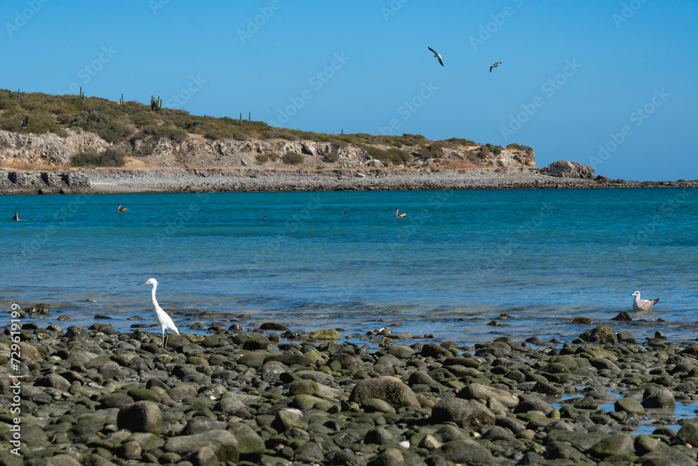 Obraz premium Bay of Dreams, Ensenada de Muertos, in La Paz, Baja California Sur , Mexico