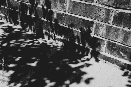 brick wall in black and white