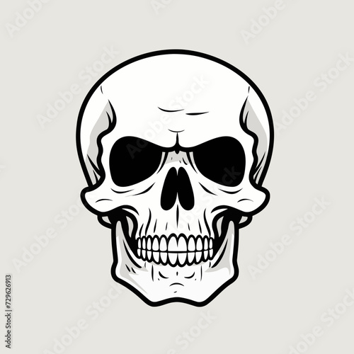 human skull