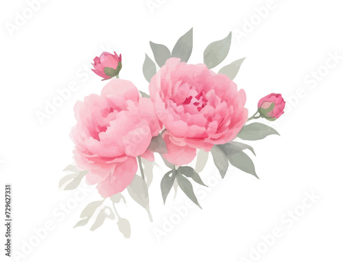 Peonies flowers watercolor, Pink flowers
