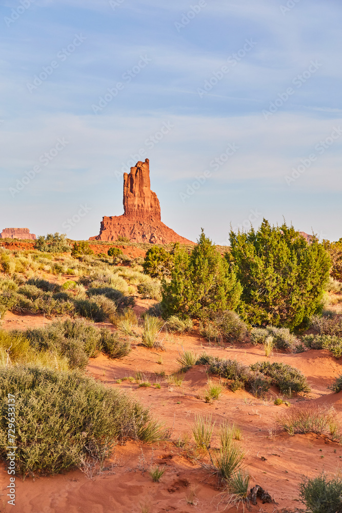 Golden Hour Glow on Monument Valley Butte with Desert Flora Golden Hour Glow on Monument Valley Butte with Desert Flora
