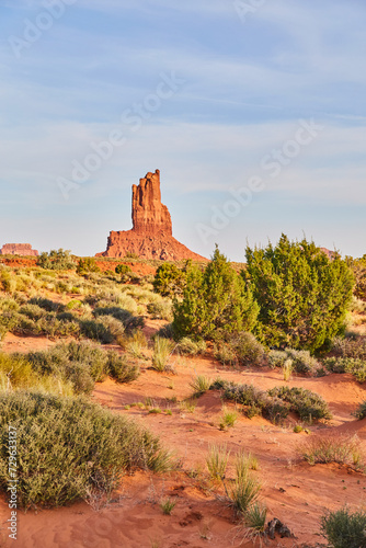 Golden Hour Glow on Monument Valley Butte with Desert Flora
