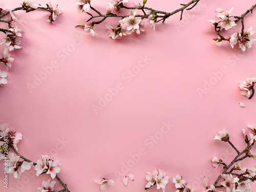 Frame with blossoming almond flowers on a pink paper background. Copy-space for your text. A fresh and delightful image capturing nature's beauty in spring.