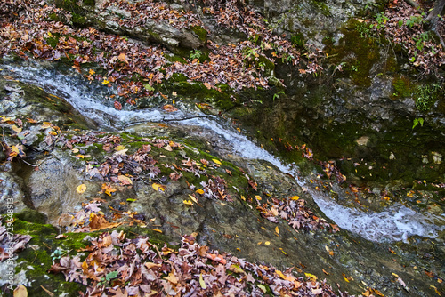 Autumn Leaves on Mossy Rocks by Serene Stream, Elevated View photo
