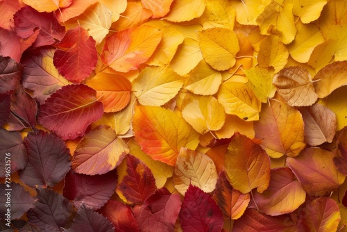 A vibrant pile of autumn leaves in shades of orange, symbolizing the changing season and the beauty of nature's cycle