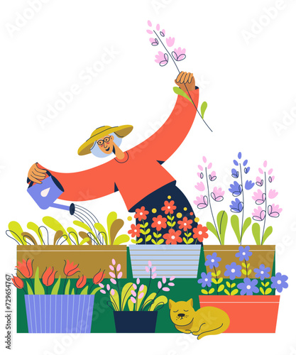 Senior woman watering flowers and plants in pots. Home gardening, plants care, hobby