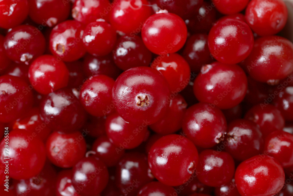Fresh ripe cranberries as background, top view Fresh ripe cranberries as background, top view