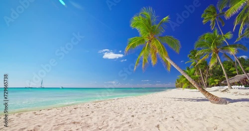 Caribbean exotic island beach shore with palm trees summer tropical destination for vacation photo