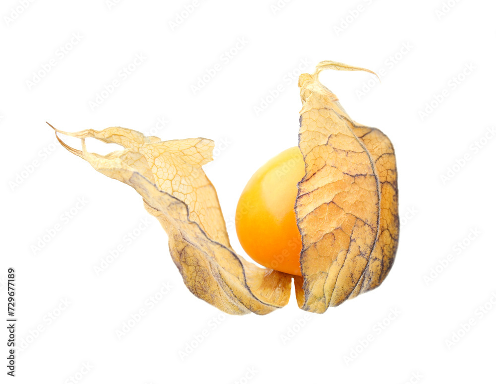 Ripe physalis fruit with calyx isolated on white Ripe physalis fruit with calyx isolated on white