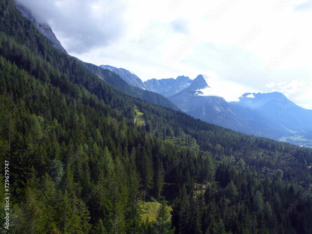 Dense green forests grow on the slopes of high mountains. Picturesque natural landscape