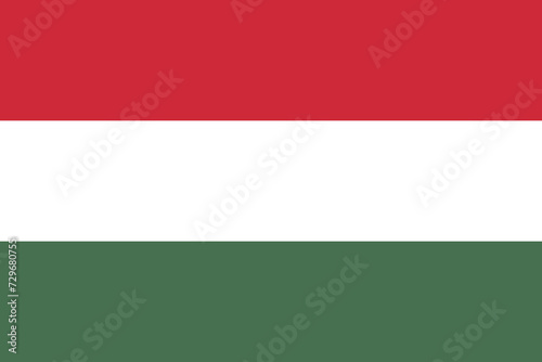 Hungary flag isolated in official colors and proportion correctly vector