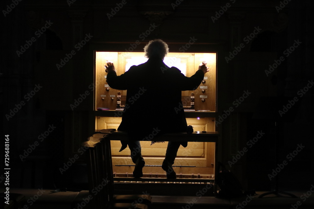 Harmony in Shadows: The Organist of Our Lady of Victories Harmony in Shadows: The Organist of Our Lady of Victories