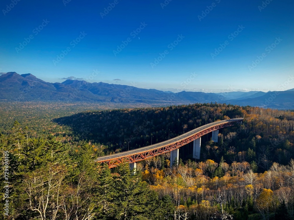 Obraz premium 秋の橋 autumn bridge