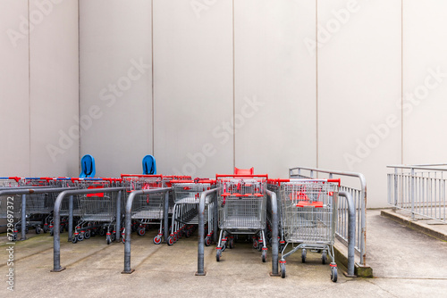 Organized Shopping Carts in Designated Area