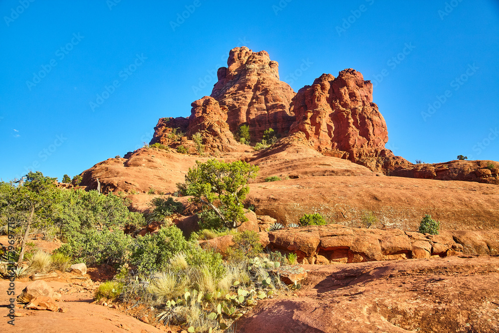 Fototapeta premium Sedona Red Rock Formation and Desert Flora Under Blue Sky