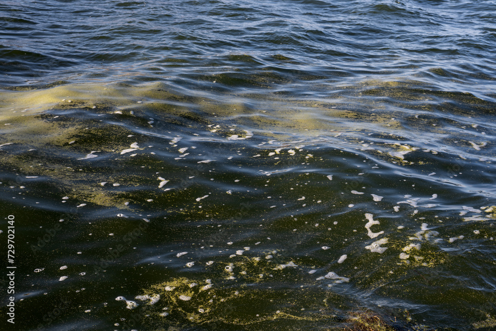 Titicaca lake polluted