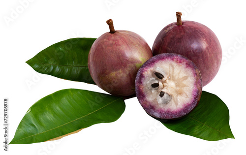 Golden leaf tree, Star apple or Chrysophyllum cainito fruits and leaves on transparent background. photo