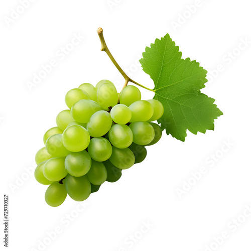 Fresh Grapes Green Grapes on the Vine No Background