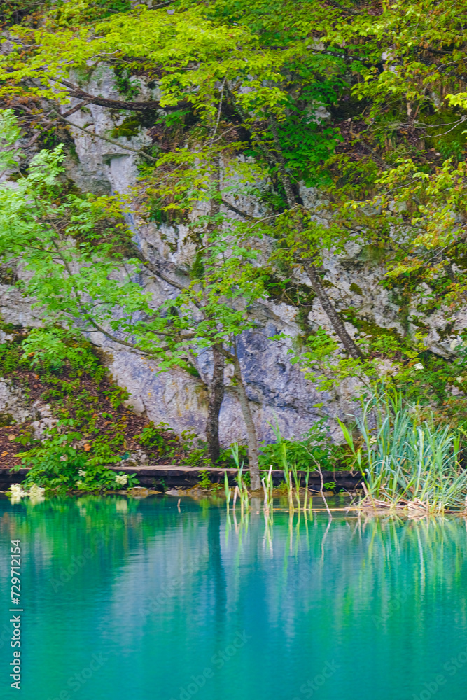 Emerald in Nature: Green Water in Plitvice Lakes National Park Emerald in Nature: Green Water in Plitvice Lakes National Park