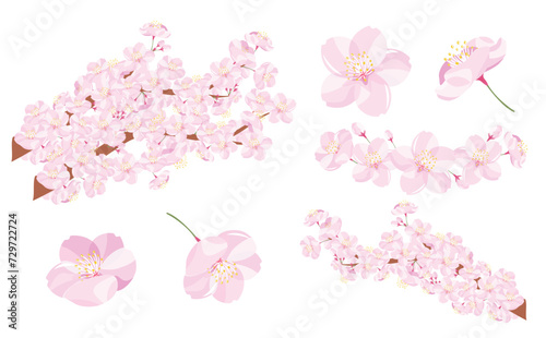 飾りに使える桜の枝・木・花のリアルなベクターイラスト素材セット