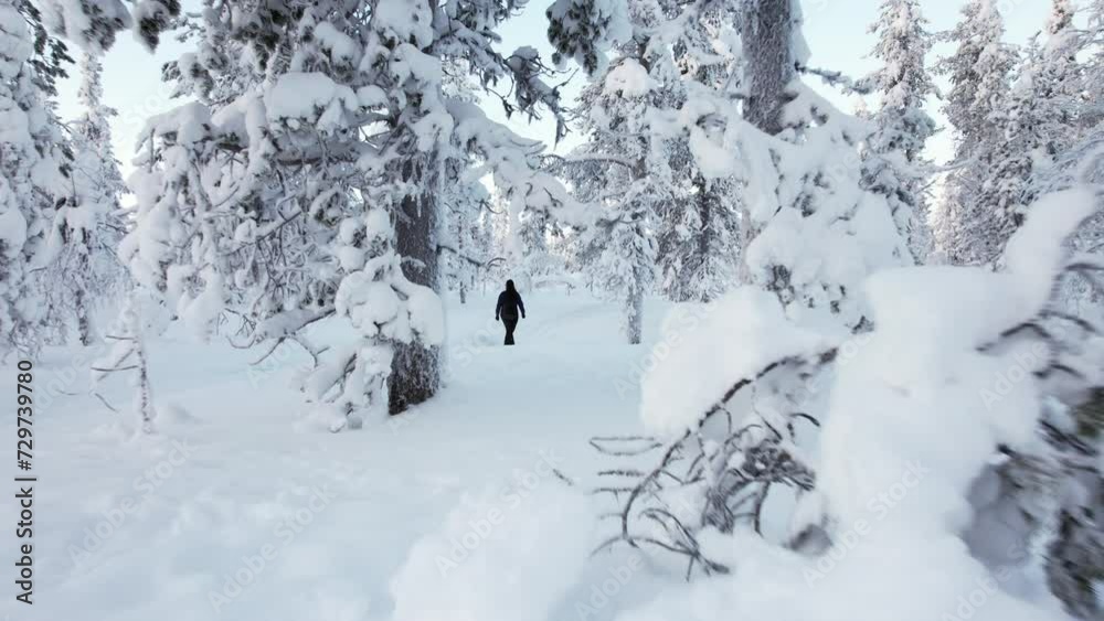 Drone Flys Closely Between Trees, Towards A Girl Walking In Winter Wonderland In Lapland, Finland, Arctic Circle