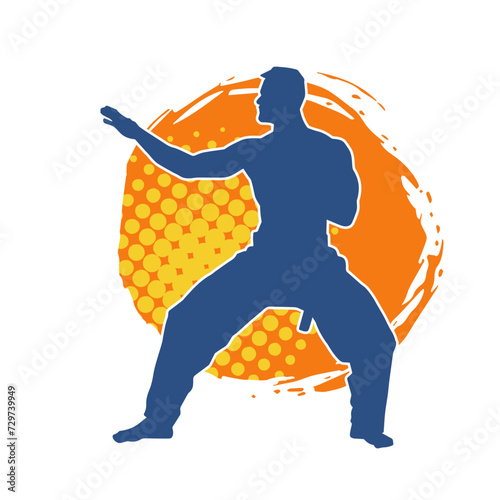 Silhouette of a man in oriental martial art pose. Silhouette of a male in martial art move.
