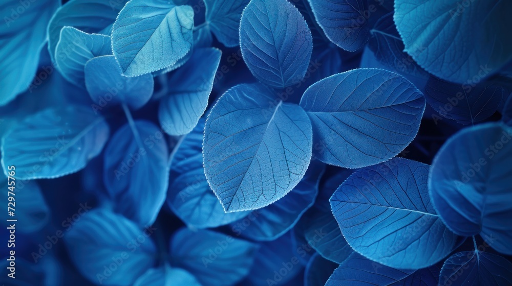 Blue Plant Leaves in the nature in Fall Season