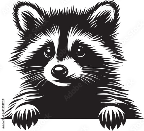 Peekaboo Raccoon