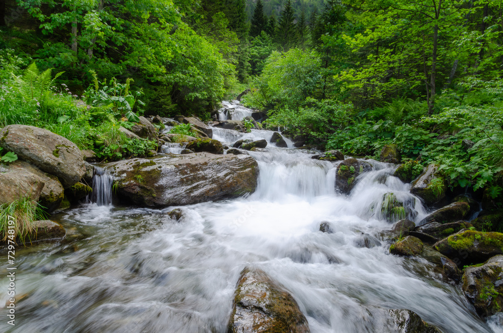 Hidden cascade waterfall in a dense luxuriant forest Hidden cascade waterfall in a dense luxuriant forest