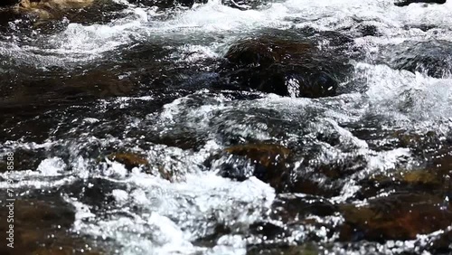 清らかな渓流　水の流れ　スローモーション