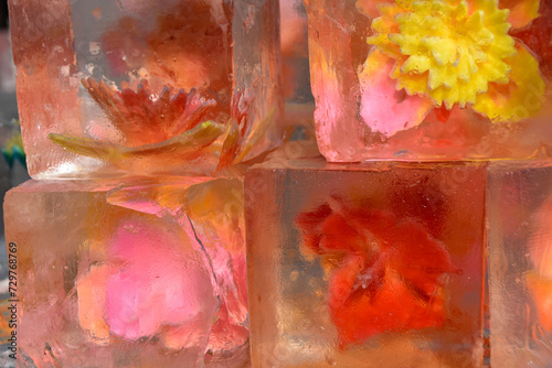 氷に入った色彩豊かな花 © FURISHO