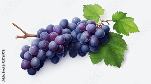 bunch of blue grapes with green leaves isolated on a white background
