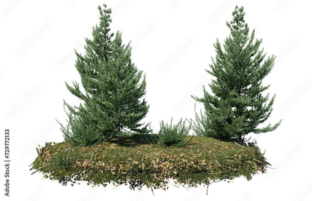 Round surface of Small Pine forest patch covered with flowers, green or dry grass isolated on transparent background. Realistic natural element for design. Bright 3d Round surface of Small Pine forest patch covered with flowers, green or dry grass isolated on transparent background. Realistic natural element for design. Bright 3d