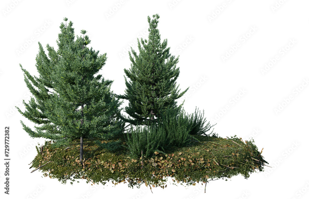 Round surface of Small Pine forest patch covered with flowers, green or dry grass isolated on transparent background. Realistic natural element for design. Bright 3d Round surface of Small Pine forest patch covered with flowers, green or dry grass isolated on transparent background. Realistic natural element for design. Bright 3d