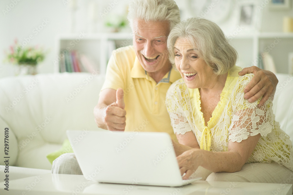 Portrait of senior couple using laptop at home