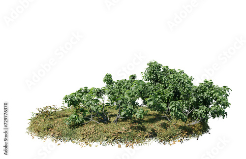 Round surface of Small Plant forest patch covered with flowers, green or dry grass isolated on transparent background. Realistic natural element for design. Bright 3d © Nawaphon