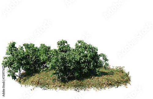 Round surface of Small Plant forest patch covered with flowers, green or dry grass isolated on transparent background. Realistic natural element for design. Bright 3d © Nawaphon